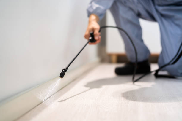 Professional exterminator conducting IPM assessment in Burbank