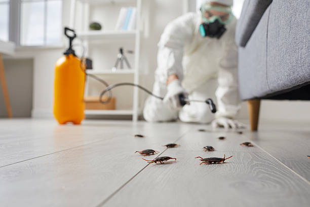Affordable Mosquito Control solutions in Burbank, WA